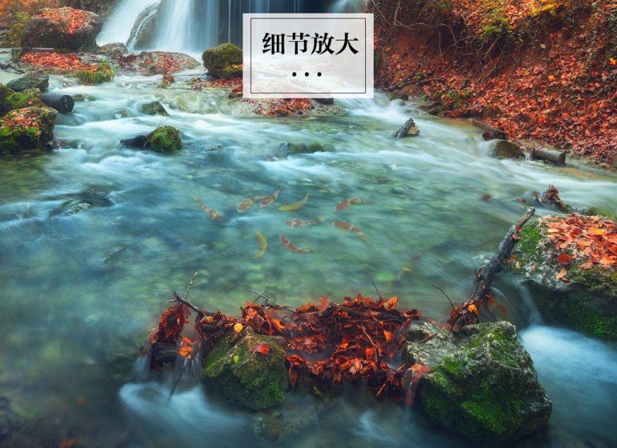 影视工厂